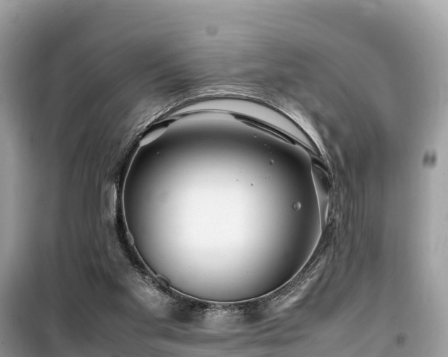 X0000099510109200805221431