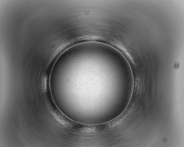 X0000099510110200805221431