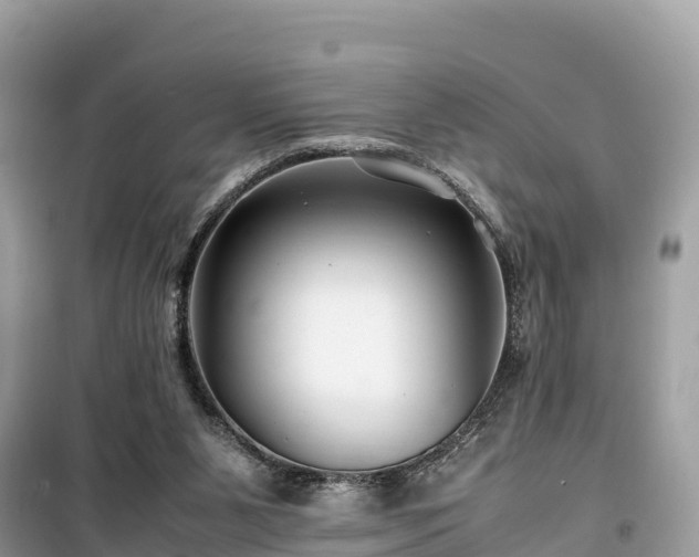 X0000099510111200805221431