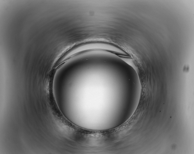 X0000099510112200805221431