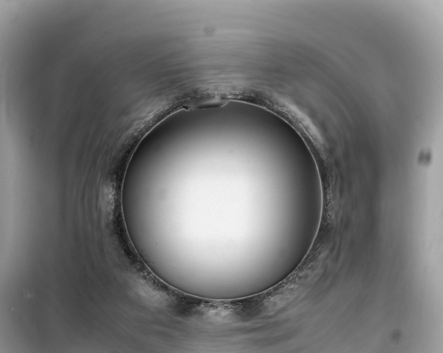 X0000099510113200805221431