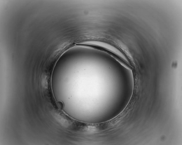 X0000099510114200805221431
