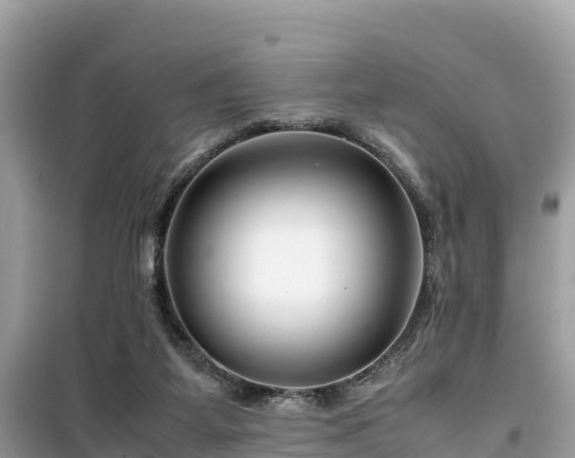 X0000099510115200805221431