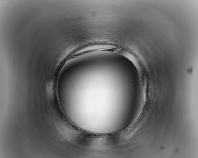 X0000099510116200805221431