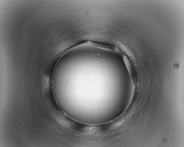 X0000099510117200805221431