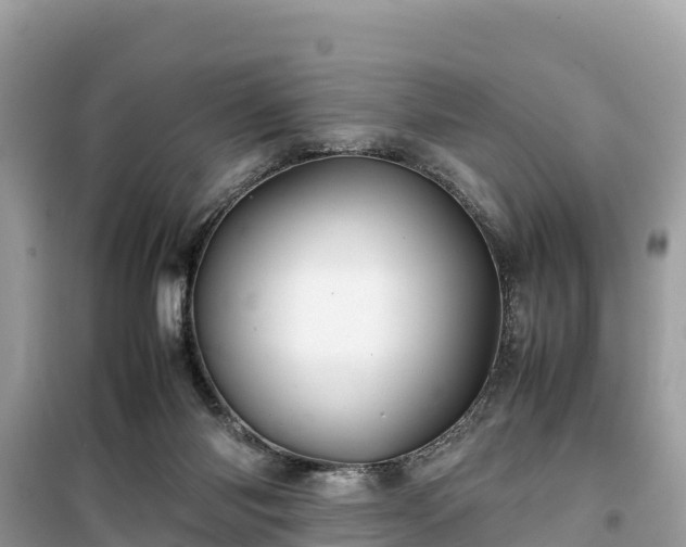 X0000099510118200805221431