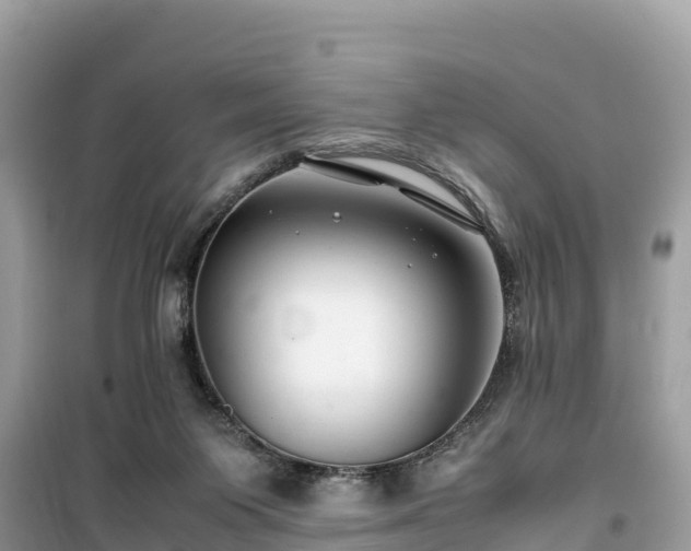 X0000099510119200805221431