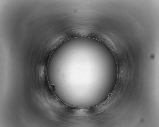 X0000099510122200805221431