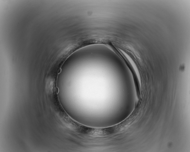X0000099510123200805221431