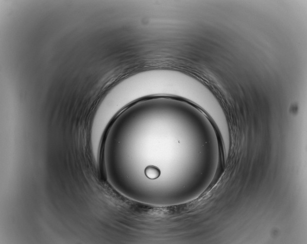 X0000099510124200805221430