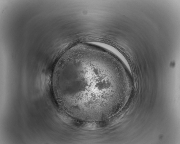 X0000099510127200805221430