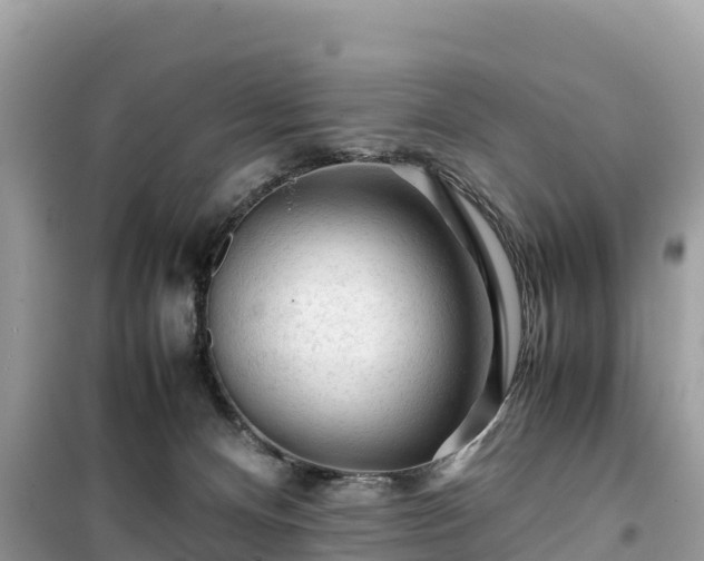 X0000099510128200805221430
