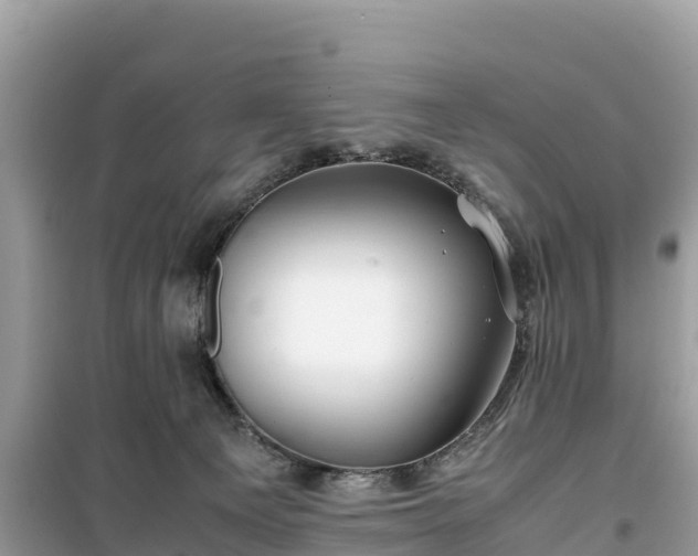 X0000099510129200805221430