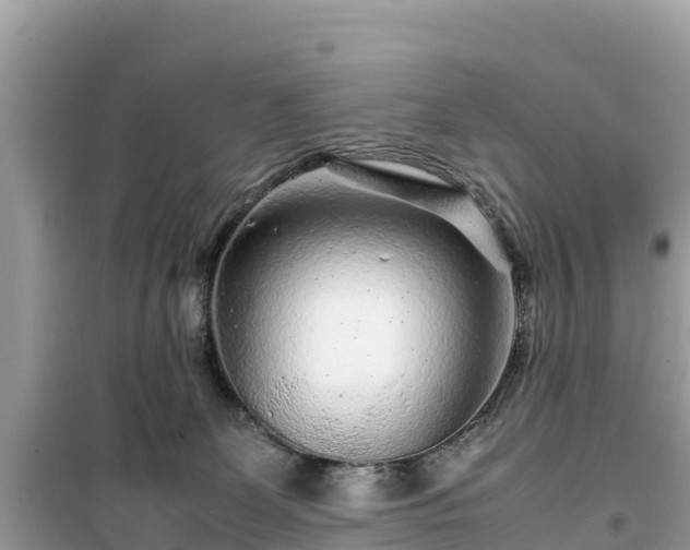 X0000099510131200805221430