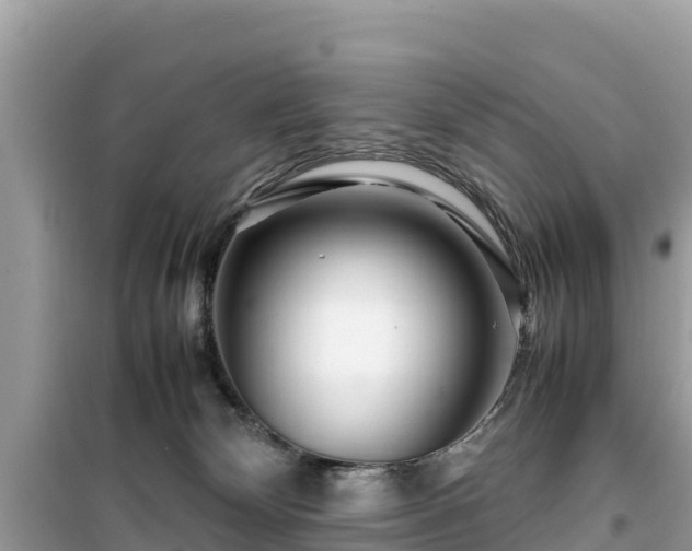 X0000099510132200805221430