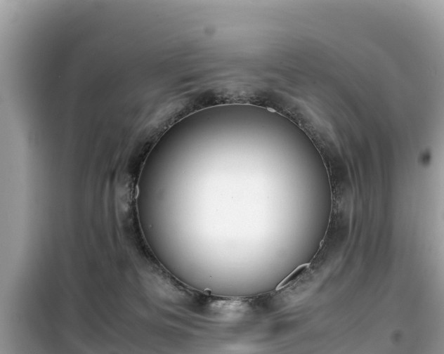X0000099510133200805221430