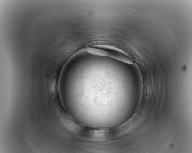 X0000099510134200805221430