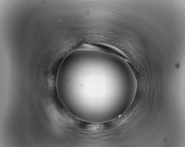 X0000099510135200805221430