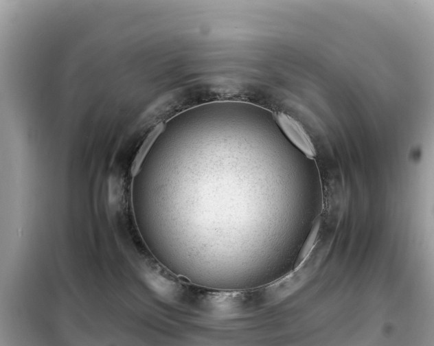 X0000099510136200805221430