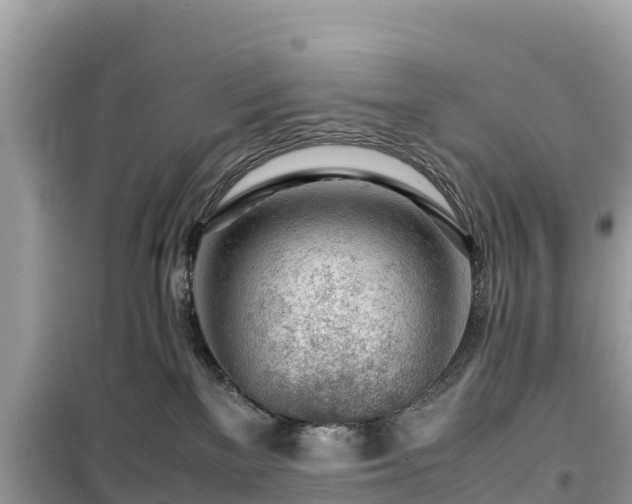 X0000099510137200805221430