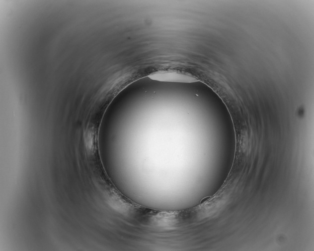 X0000099510138200805221430