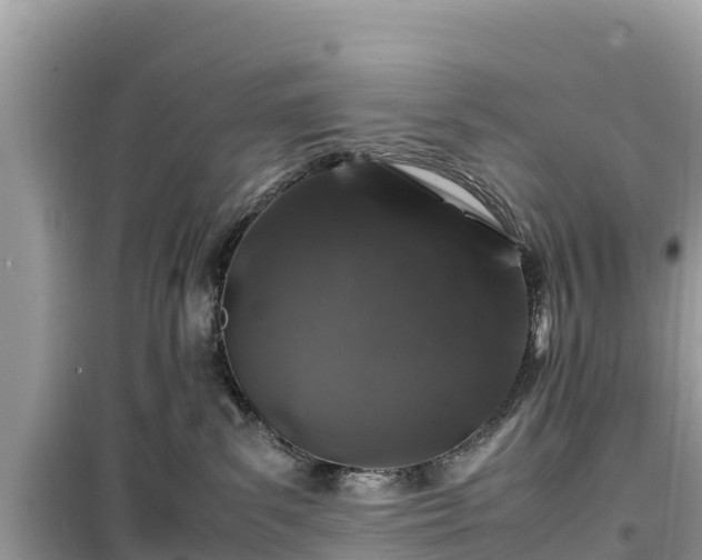 X0000099510139200805221430