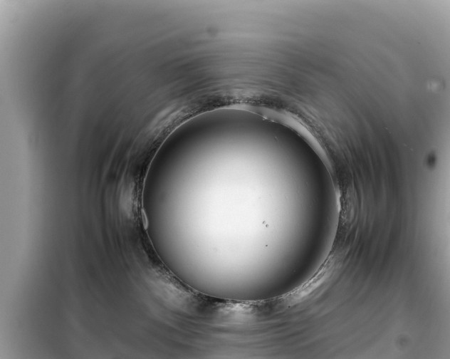 X0000099510140200805221430
