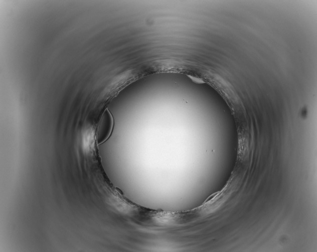 X0000099510142200805221430