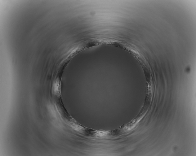X0000099510143200805221430