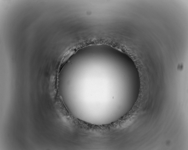 X0000099510144200805221430