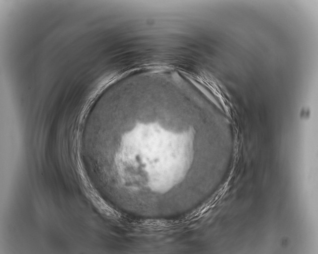 X0000099510145200805221430