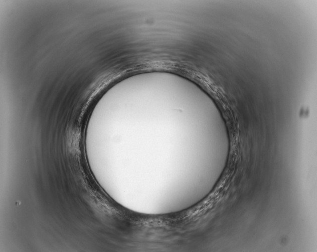 X0000099510146200805221430