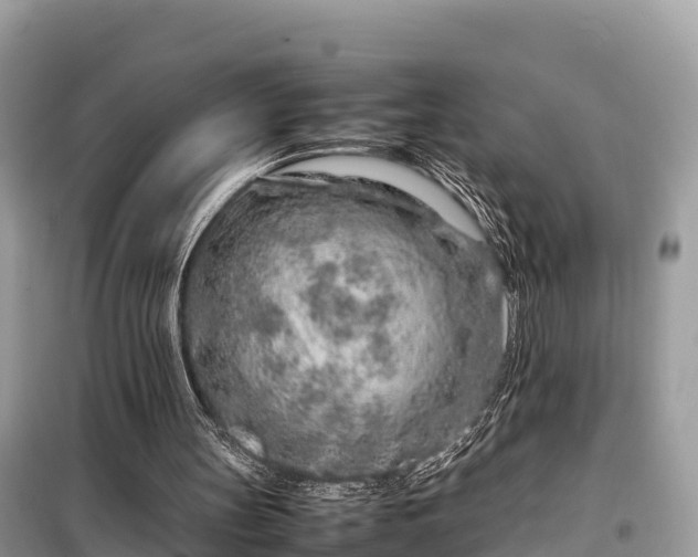 X0000099510147200805221430
