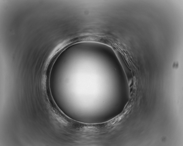 X0000099510150200805221430