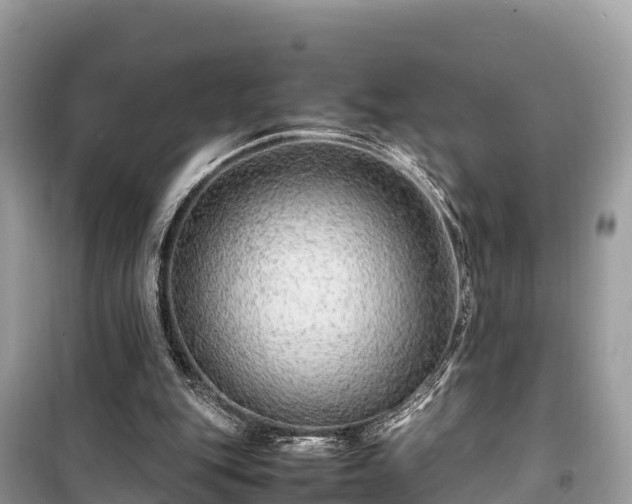 X0000099510151200805221430