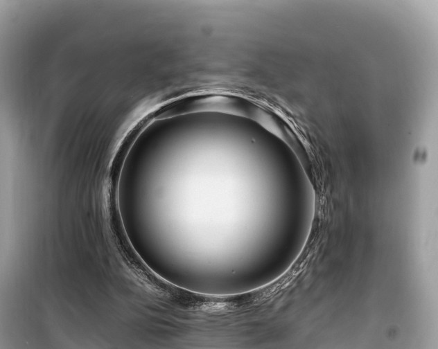 X0000099510152200805221430