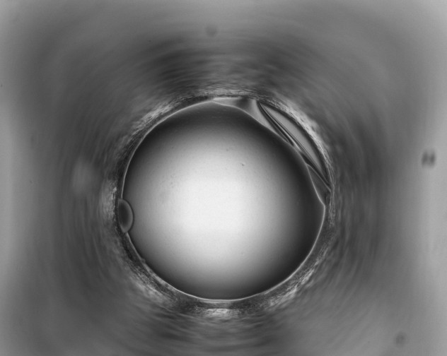 X0000099510153200805221430