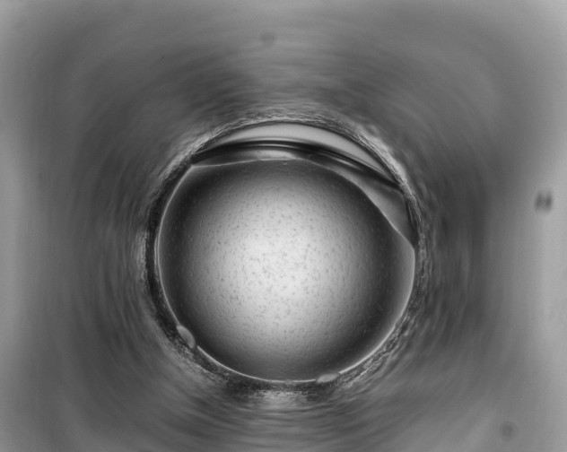 X0000099510154200805221430