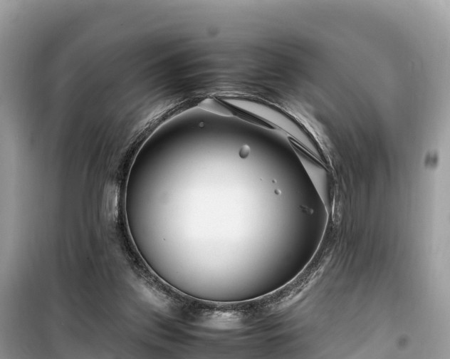 X0000099510157200805221430