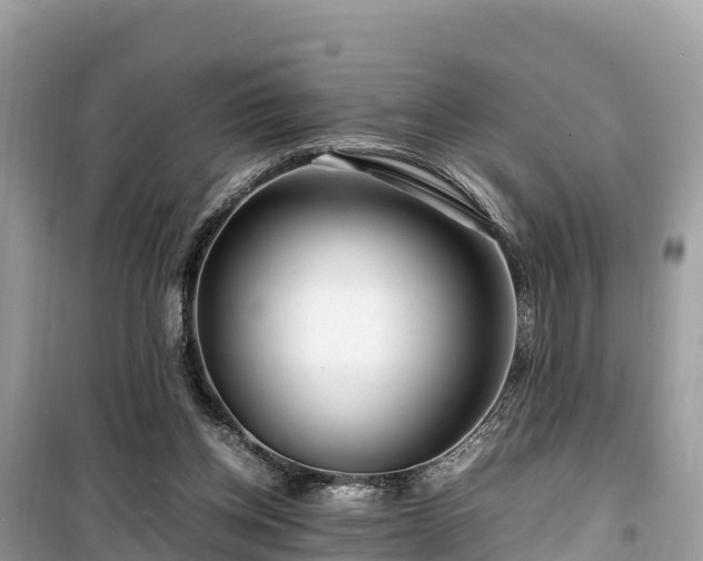 X0000099510158200805221430