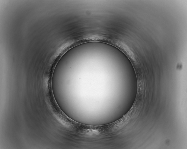 X0000099510159200805221430