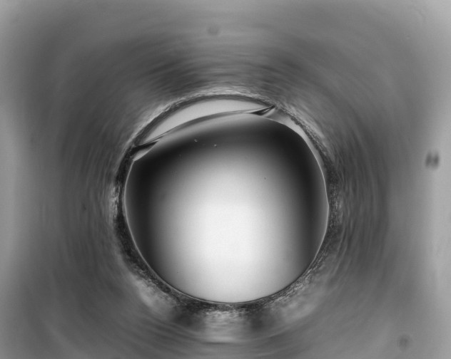 X0000099510160200805221430