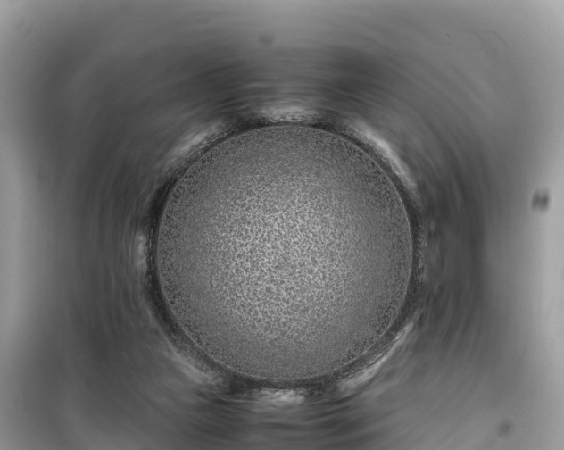 X0000099510161200805221430