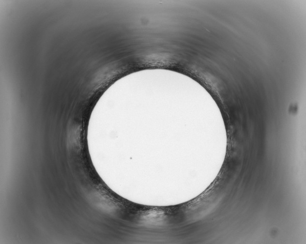 X0000099510162200805221430
