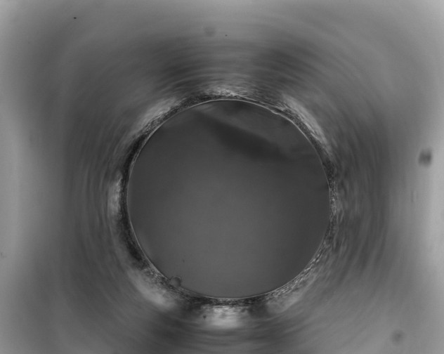 X0000099510163200805221430