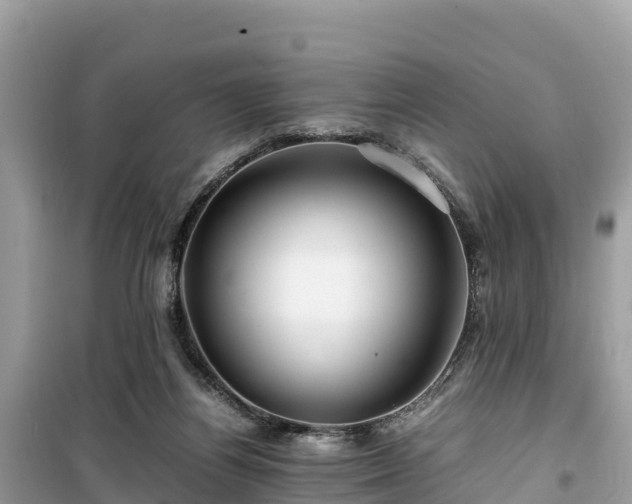 X0000099510164200805221430