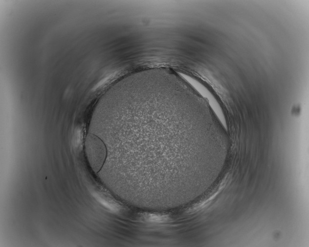 X0000099510165200805221430