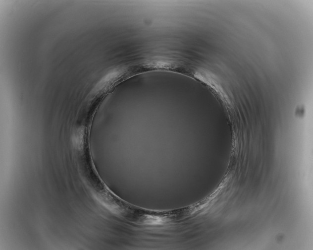 X0000099510167200805221430