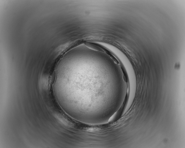 X0000099510168200805221430