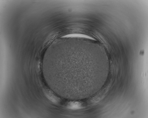 X0000099510169200805221430